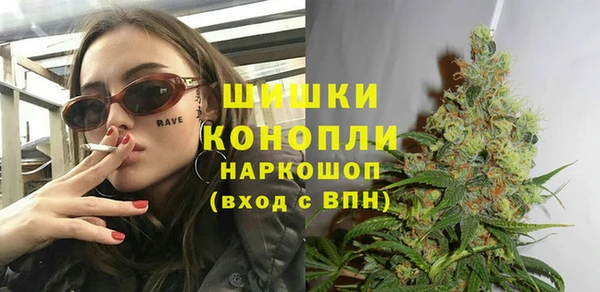 PSILOCYBIN Нея