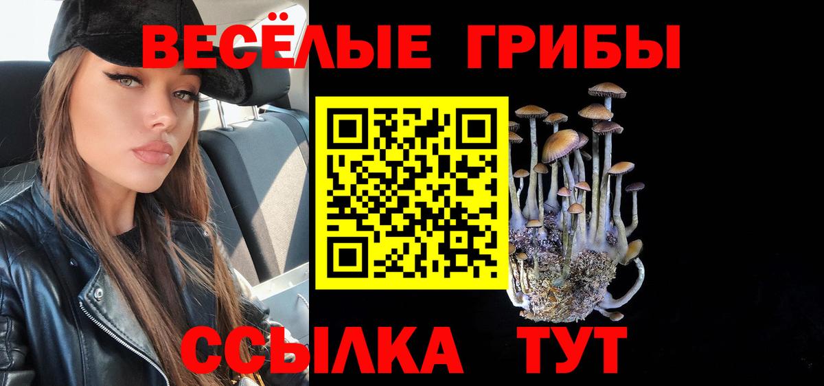 Галлюциногенные грибы ЛСД Вологда